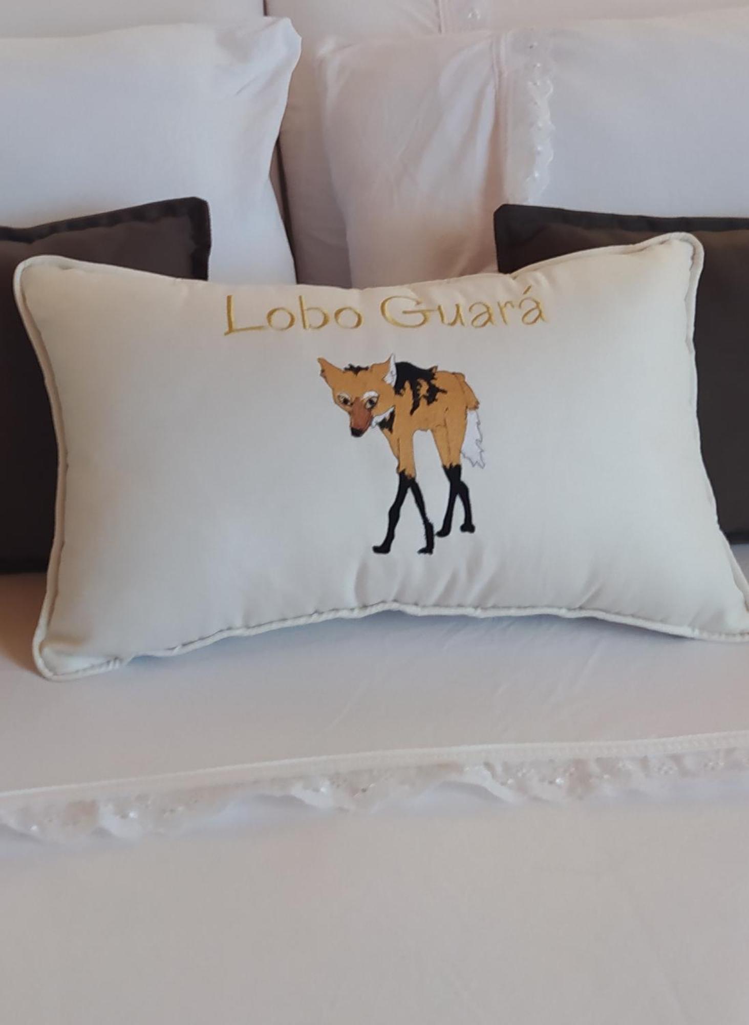 Lobo Guara Hospedagem Loft อัลโต ปาไรโซ เด โกยาส ภายนอก รูปภาพ